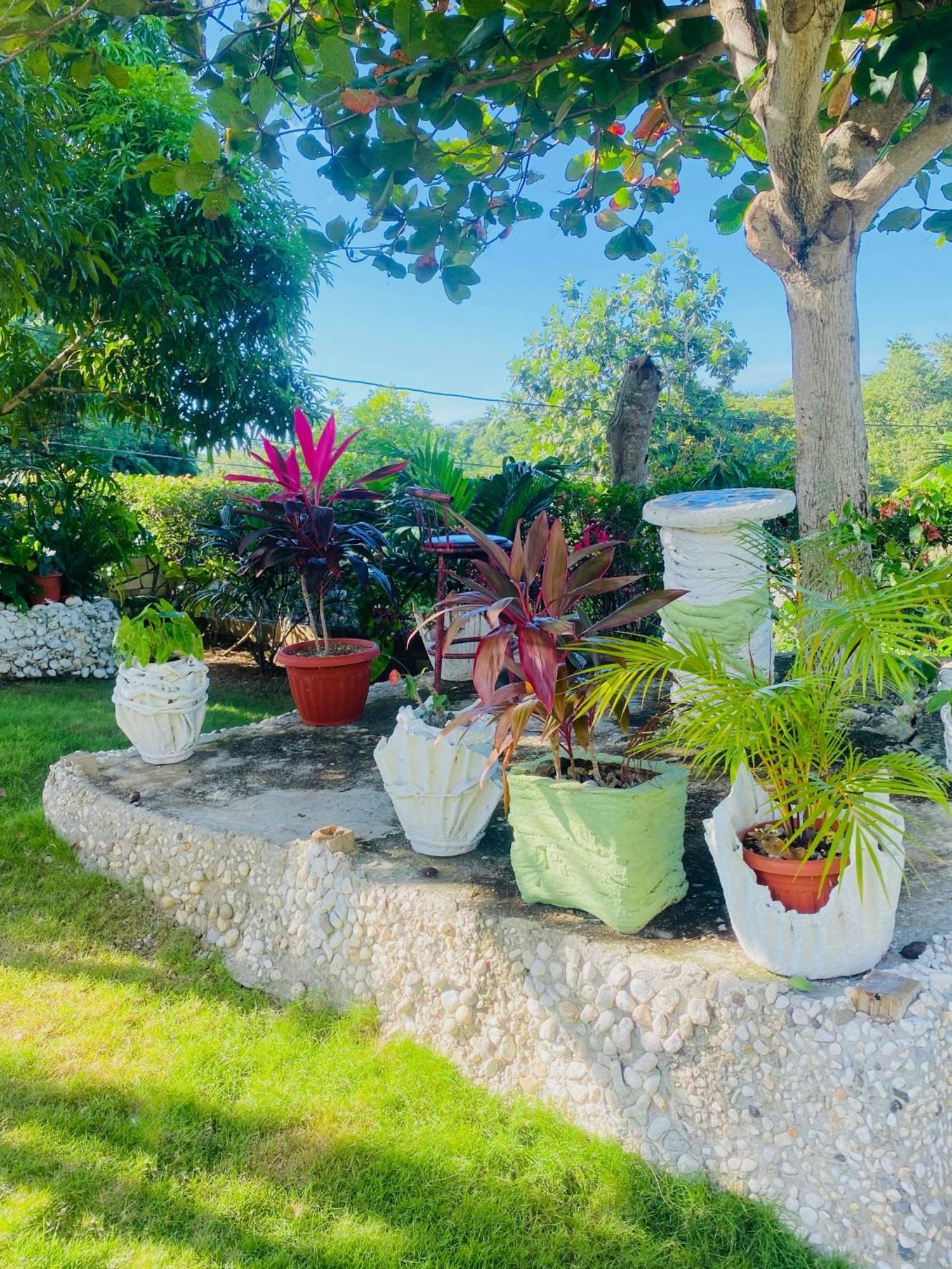 Cindy'S Garden Stay Ocho Rios Zewnętrze zdjęcie