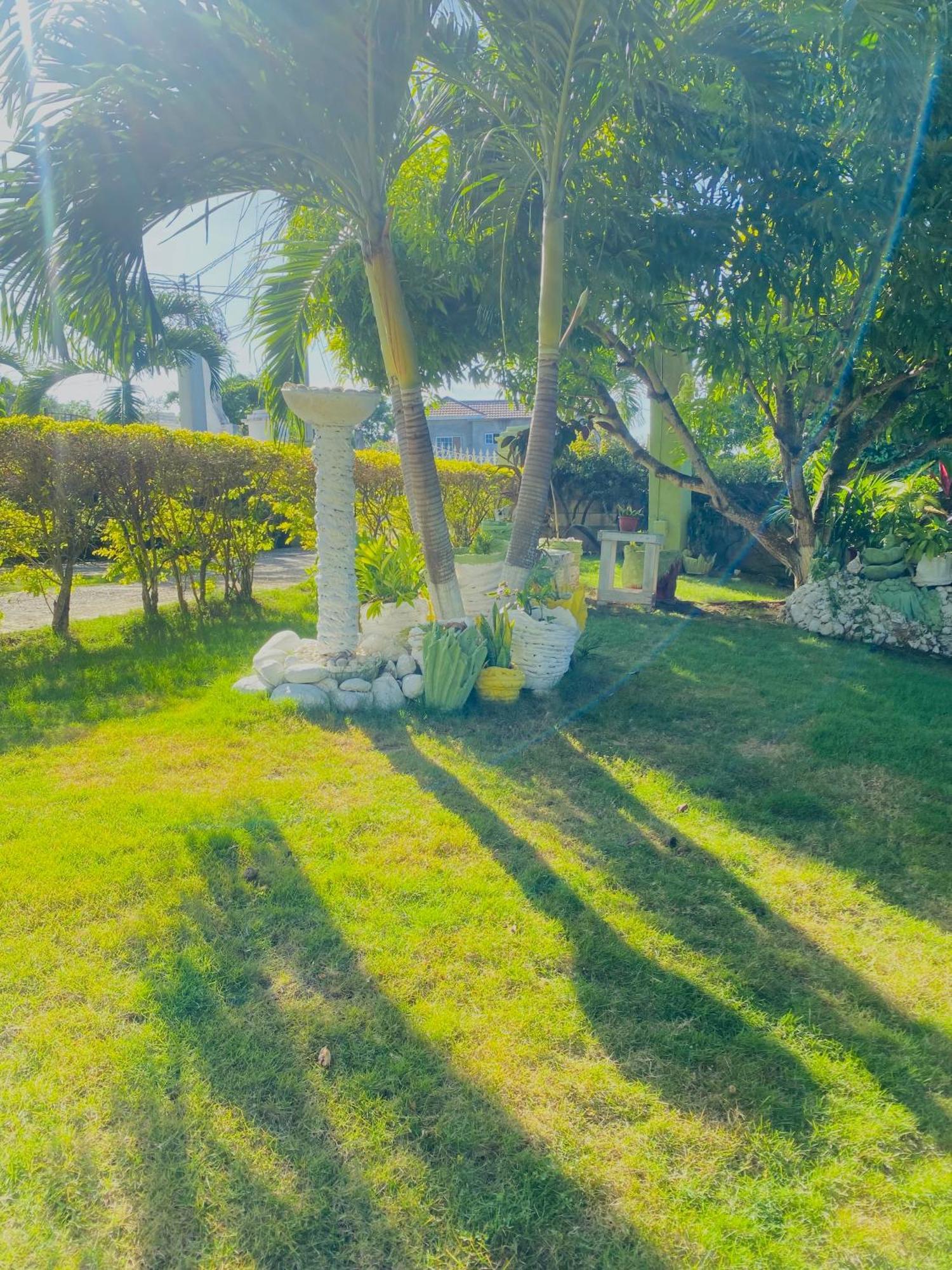 Cindy'S Garden Stay Ocho Rios Zewnętrze zdjęcie