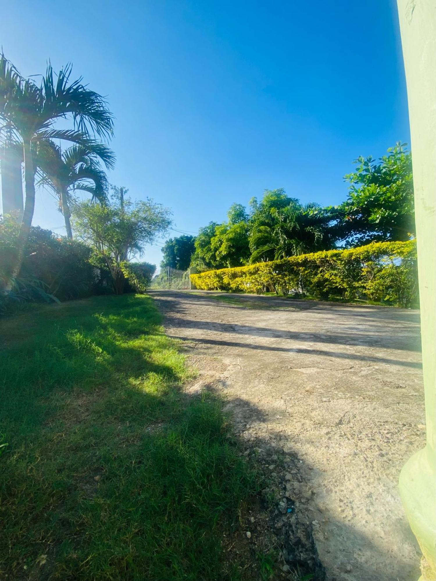 Cindy'S Garden Stay Ocho Rios Zewnętrze zdjęcie